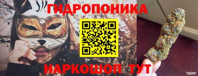 дмт Тверь