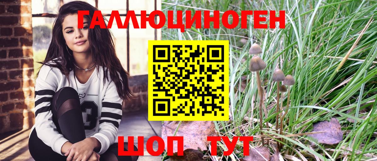 Псилоцибиновые грибы MAGIC MUSHROOMS  продажа наркотиков  Сорочинск  Вход с VPN 