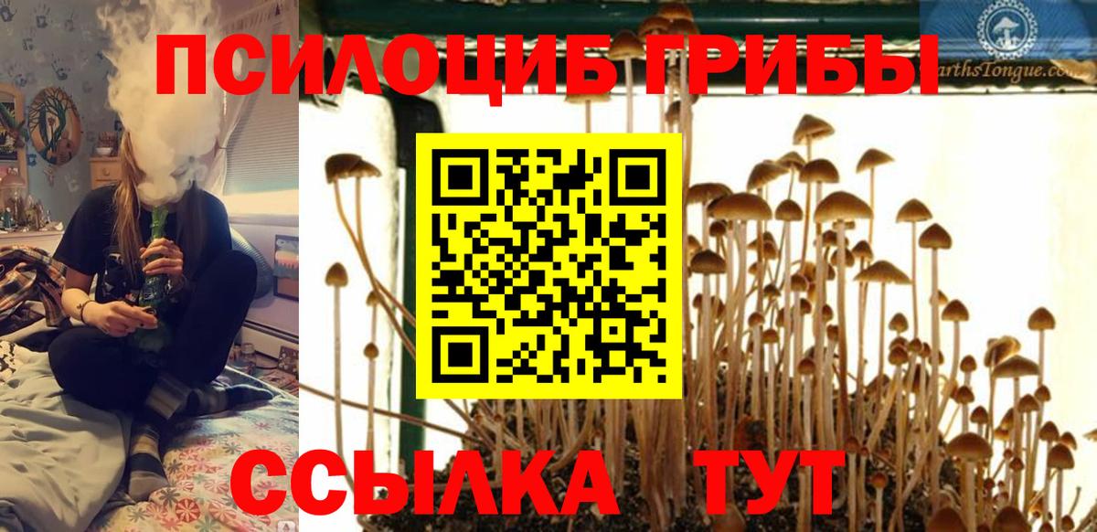 Галлюциногенные грибы ЛСД Сорочинск