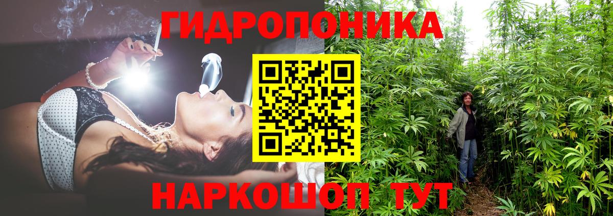 Каннабис гибрид Сорочинск